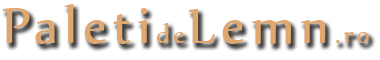Logo PaletideLemn.ro